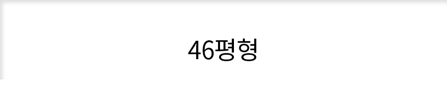 46평형