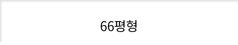 66평형