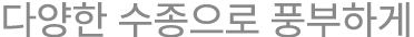 다양한 수종으로 풍부하게
