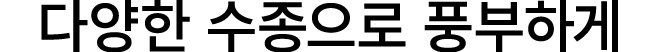 다양한 수종으로 풍부하게