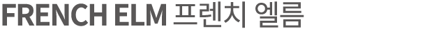 FRENCH ELM 프렌치 엘름