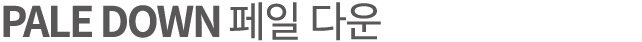 PALE DOWN 페일 다운