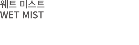 웨트 미스트 WET MIST