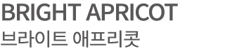 BRIGHT APRICOT 브라이트 애프리콧