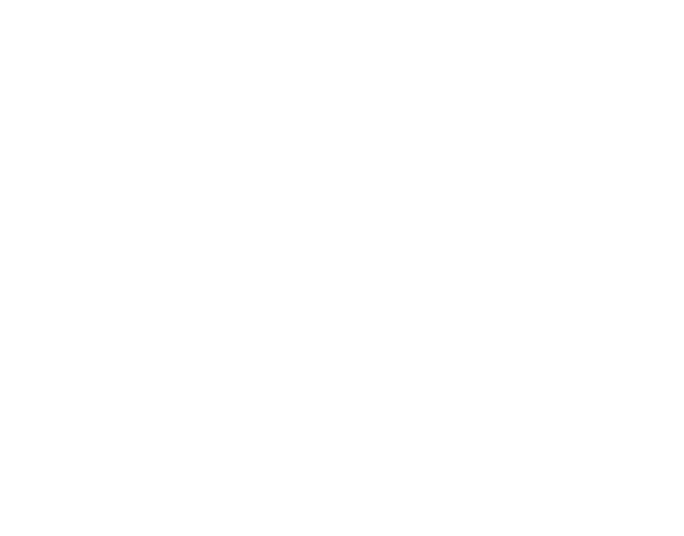      R550    :        : 558 395 650 800       :           ,            : LX   