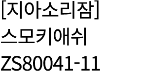               ZS80041-11