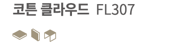         FL307 