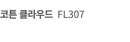         FL307