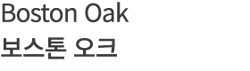 Boston Oak 보스톤 오크