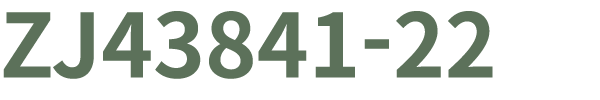 ZJ43841 22