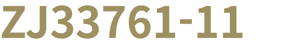 ZJ33761 11