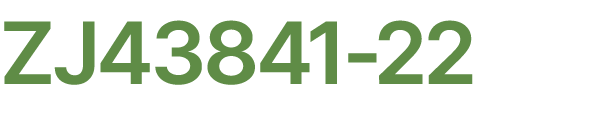 ZJ43841 22