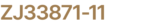 ZJ33871 11