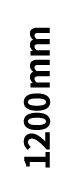 1200mm